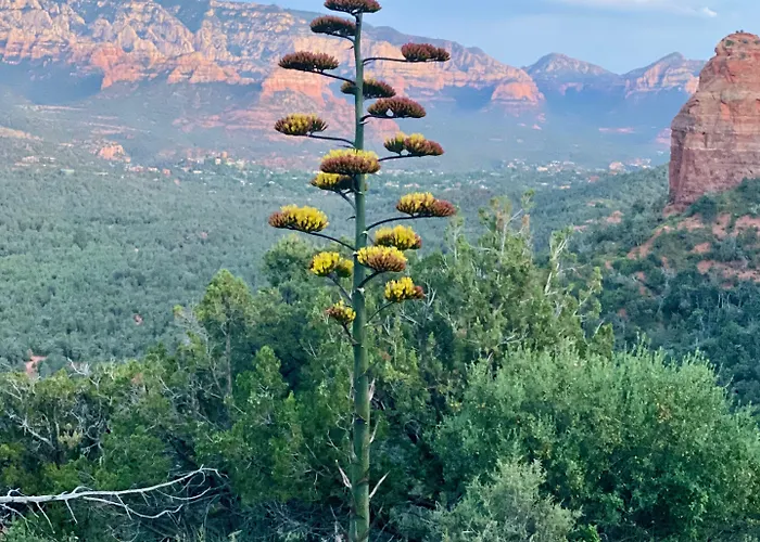 The Grand Canyon Headquarters